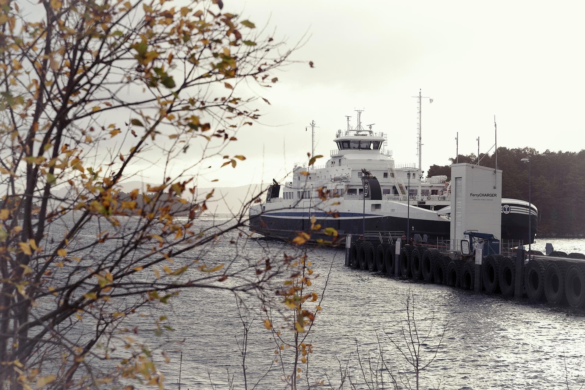 JPEG DSC03780 b SkyttelPASS Bjørnafjorden med Caroline 31.10.22 Foto Britt Embry Komprimert.jpg