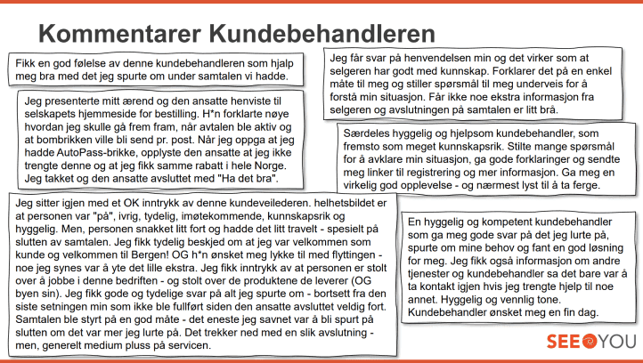 seeyou_kommentarer_kundebehandleren 2.png